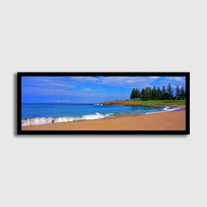 Surf Beach Kiama